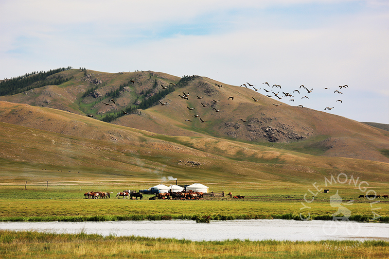 Nomadic herder family in Khustai National Park's buffer zone