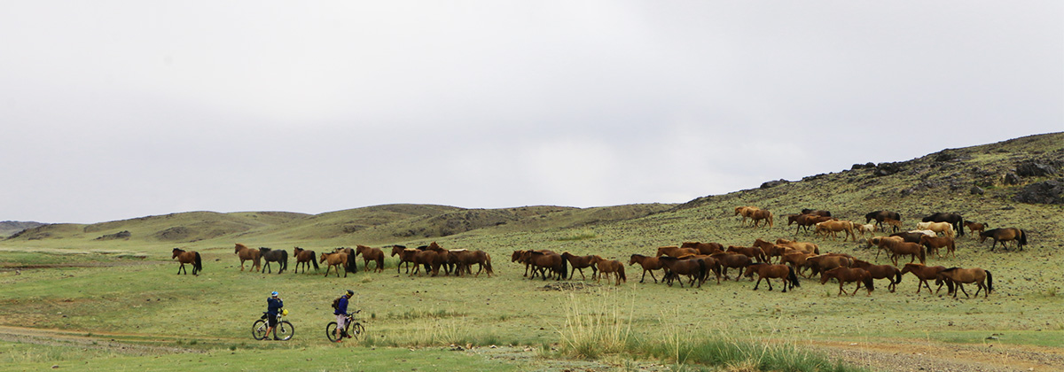 Khustai National Park Cycle Tour - 4 days