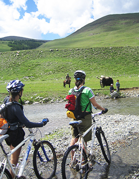 Mongolian Cycling Day Trip