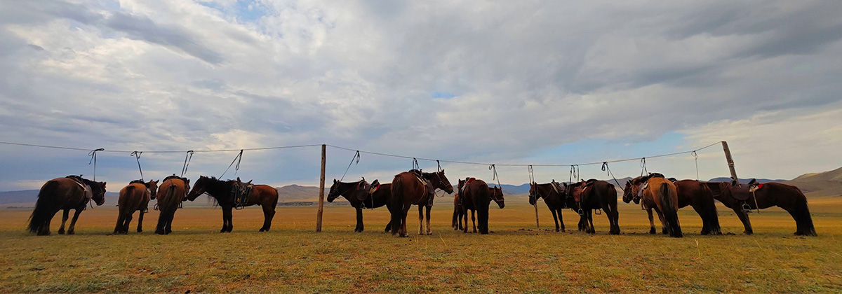 Classic Mongolia - Hiking, cycling & horse riding tour - 7 days